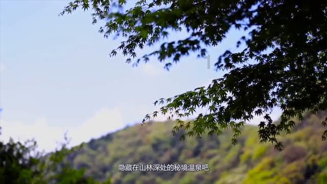秦琼秦二爷的字为什么用“叔”？
